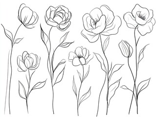 Minimalist Floral Outlines: Elegant Rose and Peony Designs for Monochromatic Wall Art, Perfect for Invigorating Your Sports Interior with Organic Shapes and Graceful Blooms