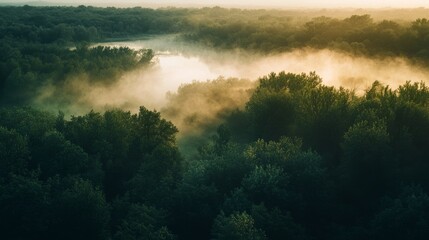 Aerial view of a river winding through a dense forest shrouded in morning mist.