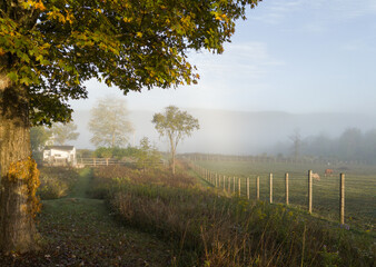 Tranquil scene of  farmland upstate New York, showcasing beauty of autumn foggy mornings © TetyanaOhare