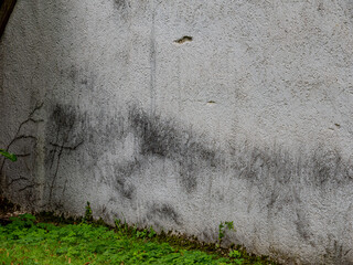 Feuchte und verschmutzte Hauswand