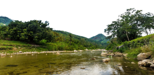 river in the mountains isolated background