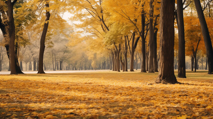 Autumn, fallen leaves background