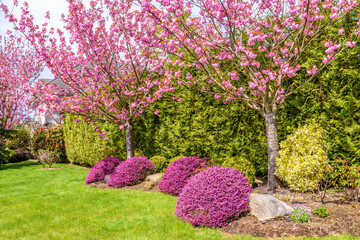 Outdoor landscape in North Vancouver, British Columbia, Canada.