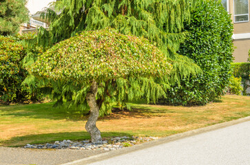 Outdoor landscape in North Vancouver, British Columbia, Canada.