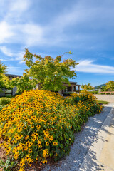 Outdoor landscape in North Vancouver, British Columbia, Canada.