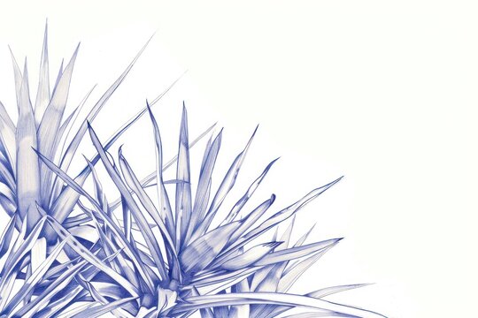 Vintage drawing yucca plants pattern sketch white.