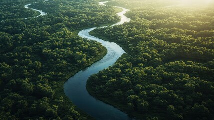 Fototapeta premium aerial view of a river delta with lush green vegetation and winding waterways