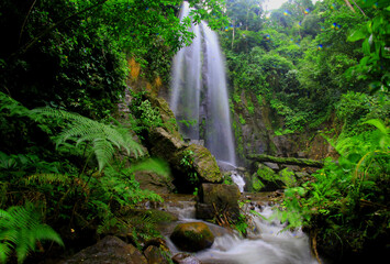 Fototapeta premium Cachoeira cascata de noiva