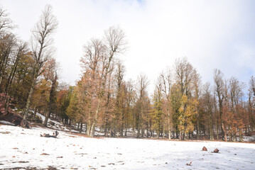 Winter and cold Algeria in North Africa, Winter snow mountain cabin panorama. Winter mountain snow...