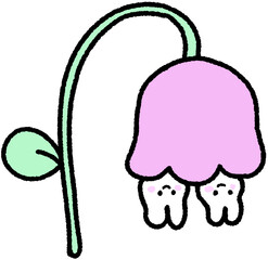 꽆