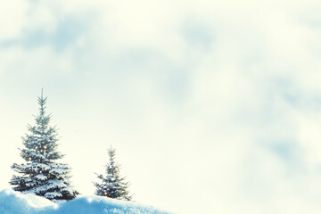 Landscape. Frozen winter forest with snow covered trees.