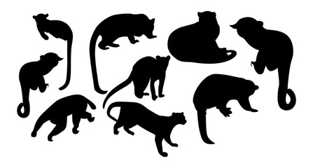 fossa vector  set silhouettes of animals