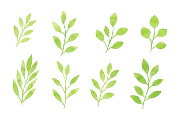 Watercolor floral leaf illustration set - green leaf branches collection for wedding stationary, greetings, wallpapers, fashion, background. Eucalyptus, olive, green leaves, etc