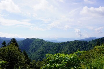 Fototapeta premium Seattle Travel Photos