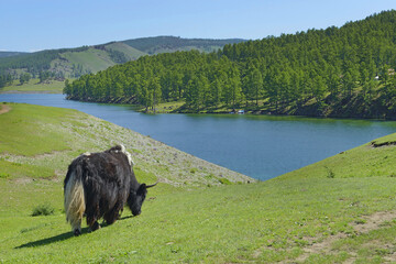 Lake Chövsgöl núr (Khövsgöl), Khövsgöl lake and Bulgan aimags in northern Mongolia