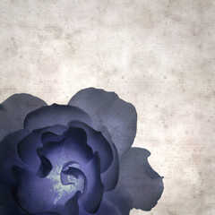 square stylish old textured paper background with blue flowers