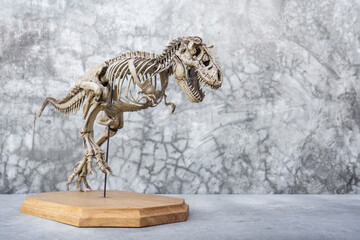 Skeleton of Dinosaur Tyrannosaurus Rex or t-rex running position on wooden base and Loft background retro vintage style with copy space. © Panupong