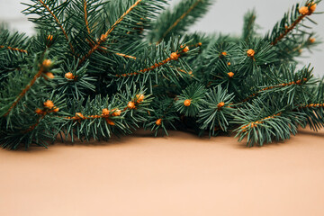 New Year, Christmas background. Branches of a green Christmas tree on a brown background. Front view