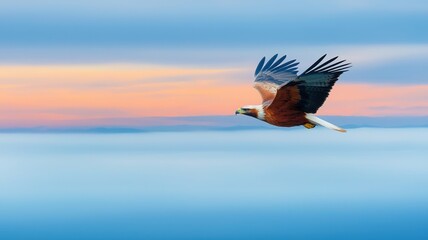 A graceful bird soars across a vibrant sky, showcasing its majestic wings against a colorful backdrop of blues and pastels.