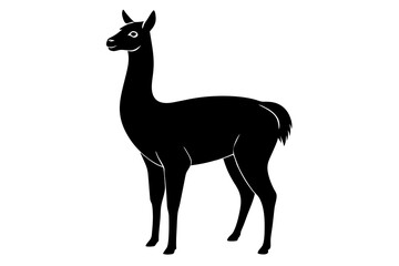 Llama Silhouette with Graceful Neck and Short Ears