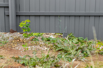 Large gap under the fence. The gap between ground and fence. Gray metal fence