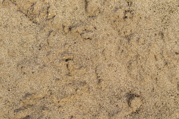 Sand for construction closeup. Material for land works