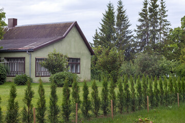 a green house behind thuja tree farms and green grass and fir trees