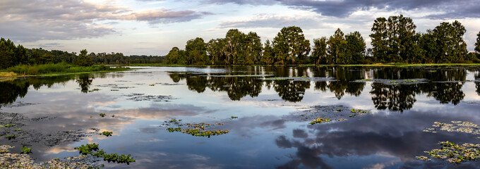 Fototapeta premium Sunrise over Alligator Lake, Lake City Florida