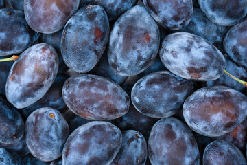 Fresh plums background. Top view. Organic food.
