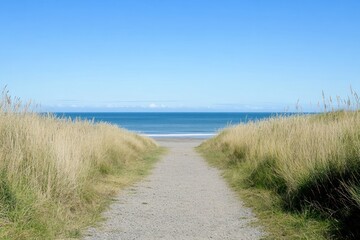 Fototapeta premium a sandy path that leads through lush green grass to a tranquil beach. The vibrant blue sky stretches endlessly in the background, with natural lighting providing clarity and detail