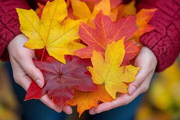 Hands gently holding a collection of vibrant autumn leaves, symbolizing the beauty and colors of the fall season in nature&rsquo;s transition, Generative AI