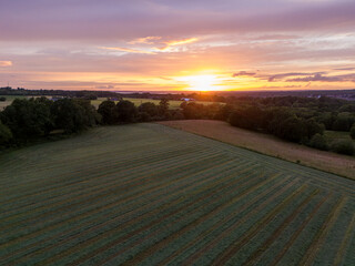 dless Swedish fields shimmer under the gaze of the drone