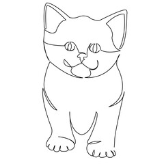 One continuous single drawing line art doodle animal, animal, pet, cat, kitten, beautiful, mammal. Isolated flat illustration hand draw contour on a white background
