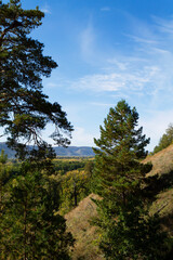 mountain landscape with blue sky. Autumn landscape with dense trees and vibrant foliage under a clear blue sky. from a bird's eye view. Scene of unspoiled nature.