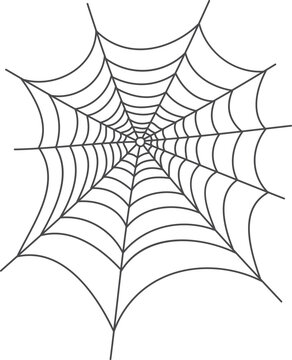 Decorative spider thread pattern. Scary arachnid web