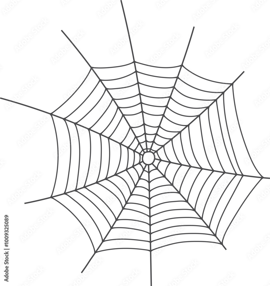 Wall mural hand drawn spider net. round line cobweb