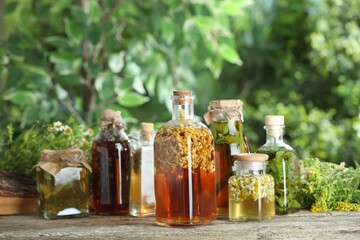 Different natural tinctures and herbs on wooden table outdoors