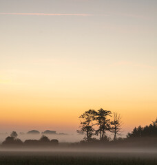 Sunrise over foggy swedish landscape