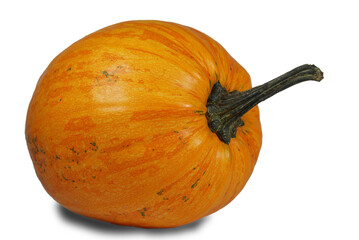 yellow pumpkin with a tail on a white background