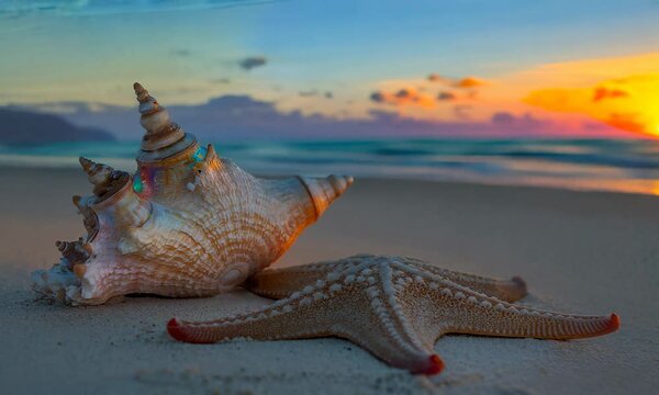Peaceful sunset beach scene with seashell and starfish.