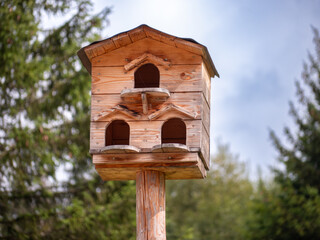A solid wooden birdhouse made of wood is an excellent protection for birds in bad weather conditions, but it can also be a good refuge from predators.