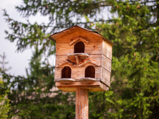 A solid wooden birdhouse made of wood is an excellent protection for birds in bad weather conditions, but it can also be a good refuge from predators.