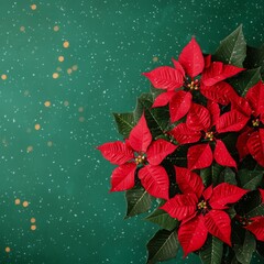 Vibrant red poinsettia flowers on a green background with golden speckles.
