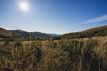 Golden Hour at Goprowska Pass Between Tarnica and Bukowe Berdo