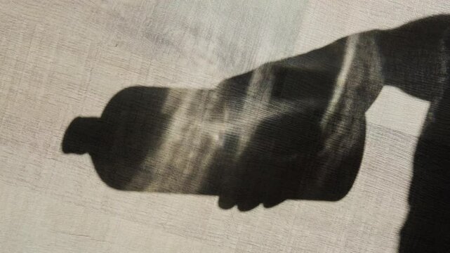 Sunlight casts the shadow of a bottle, creating an artistic composition ideal for culinary or beverage preparation.