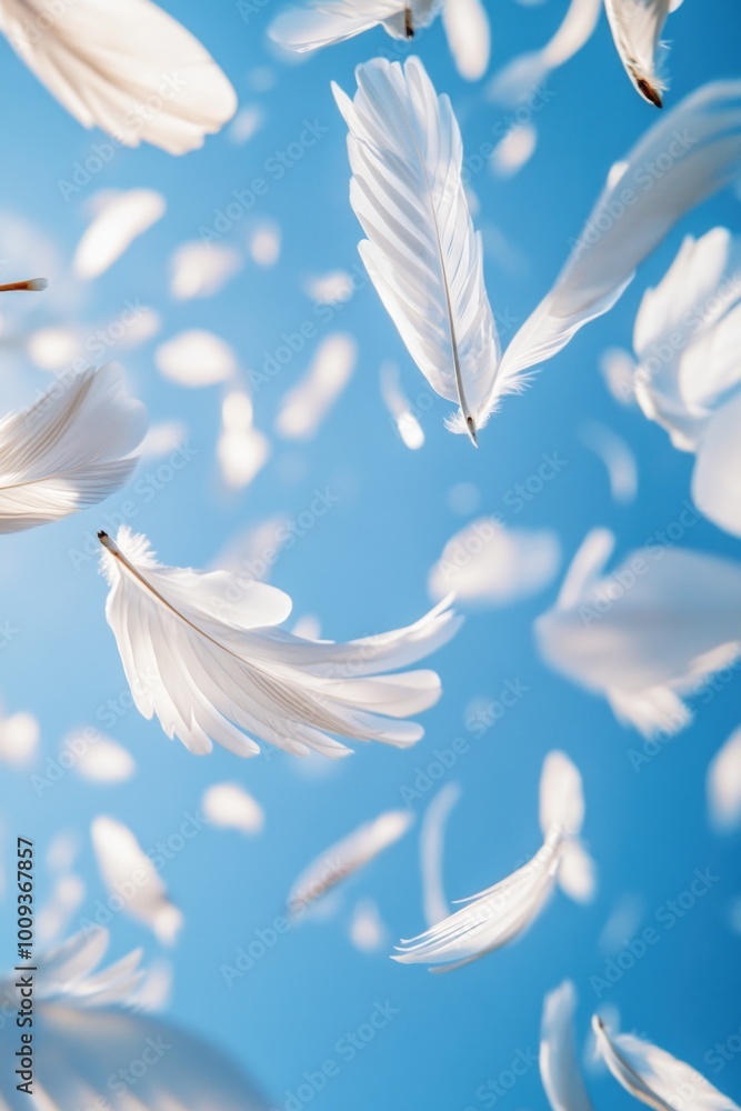 Poster feathers floating in mid-air, soft and fluffy
