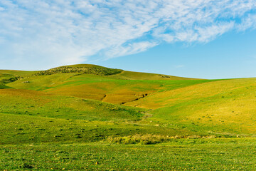 Countryside farm landscape of green field grassland in spring pr summer season with green fresh grass and beautiful sunset or sunrise cloudy sky on background