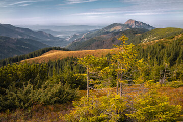 Obraz premium autumn in the mountains
