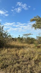 Obraz premium beautiful africa