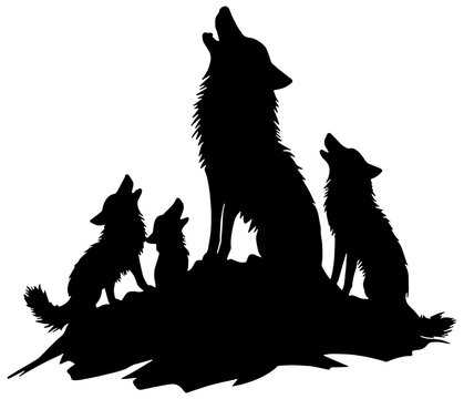 Silhouette of a wolf or coyote pack howling, in black, isolated 